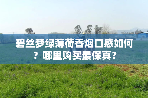 碧丝梦绿薄荷香烟口感如何？哪里购买最保真？