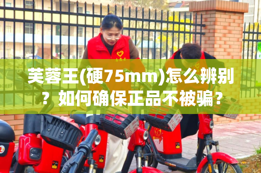 芙蓉王(硬75mm)怎么辨别？如何确保正品不被骗？